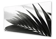 Dekoracje domu - Panel kuchenny HOMEPRINT Monochromatyczny liść palmy 125x50 cm - miniaturka - grafika 1