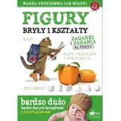 Pomoce naukowe - Figury, bryły i kształty. Zagadki i zadania na wesoło - miniaturka - grafika 1