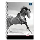 Szkolne artykuły papiernicze - Inter-druk SA Kołozeszyty A5/80 KRATKA - miniaturka - grafika 1