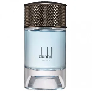 Dunhill Nordic Fougere woda perfumowana spray 100 ml - Wody i perfumy męskie - miniaturka - grafika 1