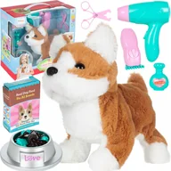 Zabawki i gry sportowe - MalTrack, Groomer - Zestaw Psi Fryzjer Suszarka Maszynka - miniaturka - grafika 1