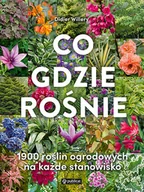 Rozwój osobisty - Co gdzie rośnie - miniaturka - grafika 1