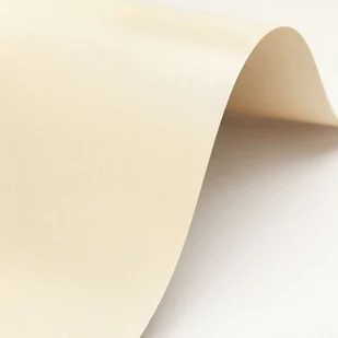 Papier A4 ozdobny ECRU metalizowany 280g Pakowany po 9 szt 63121 - Scrapbooking - miniaturka - grafika 1