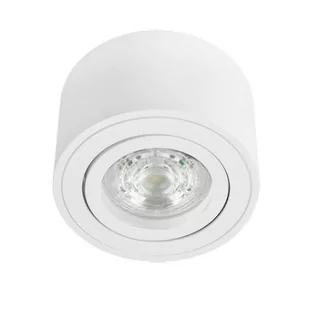 Punktowa Oprawa Sufitowa Zalda Ov White Ip20, 220-240V, Okrągła, Biała Edo777451 Edo - Lampy sufitowe - miniaturka - grafika 1