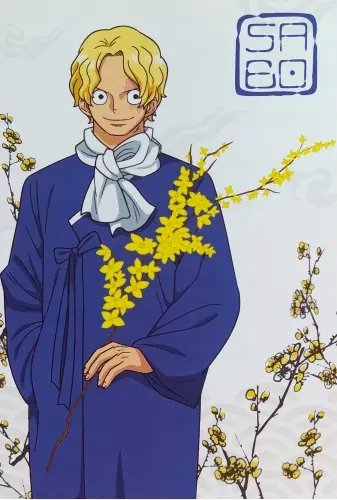 Plakat Anime Manga One Piece op_080 A1+ (custom)