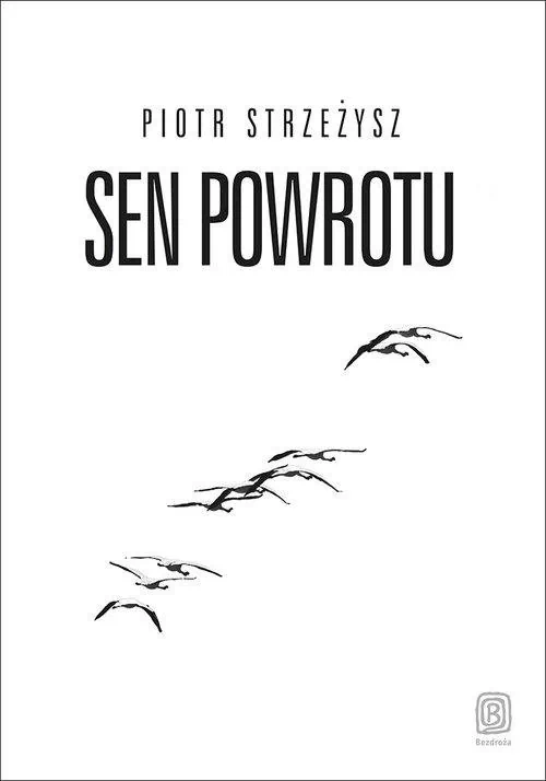 Bezdroża Sen powrotu - Piotr Strzeżysz