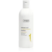 Szampony do włosów - Ziaja Plant Essentials Banana Flower szampon odżywczy do włosów zniszczonych 400 ml - miniaturka - grafika 1