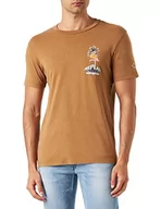 Koszulki męskie - Replay M6487 T-shirt męski, 227 brązowy, L, 227 brązowy, L - miniaturka - grafika 1
