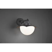 Lampy ogrodowe - Trio DONEZ Antracyt E27 IP44 Kinkiet zewnętrzny 204960142 204960142 - miniaturka - grafika 1