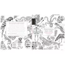 Arkady Stworzenia duże i małe - Davies Valerie - Poradniki hobbystyczne - miniaturka - grafika 1