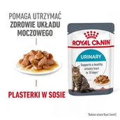 Mokra karma dla kotów - ROYAL CANIN Care Urinary w sosie 12x85 g - miniaturka - grafika 1