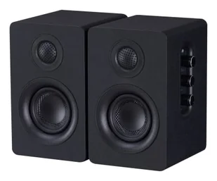 Silver Monkey SP-250 Classic Black SMA297 - Głośniki komputerowe - miniaturka - grafika 1