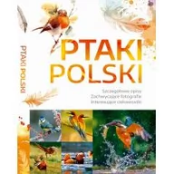 Albumy inne - Ptaki Polski Dominik Marchowski - miniaturka - grafika 1