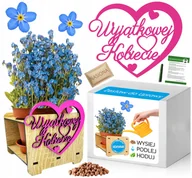 Nasiona i cebule - Zestaw do uprawy Niezapominajka Dzień Kobiet Matki - miniaturka - grafika 1