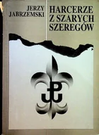 Historia świata - Harcerze w szarych szeregach - miniaturka - grafika 1