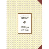 Poezja - Miejskie Posnania Księga wyjść Jerzy Beniamin Zimny - miniaturka - grafika 1