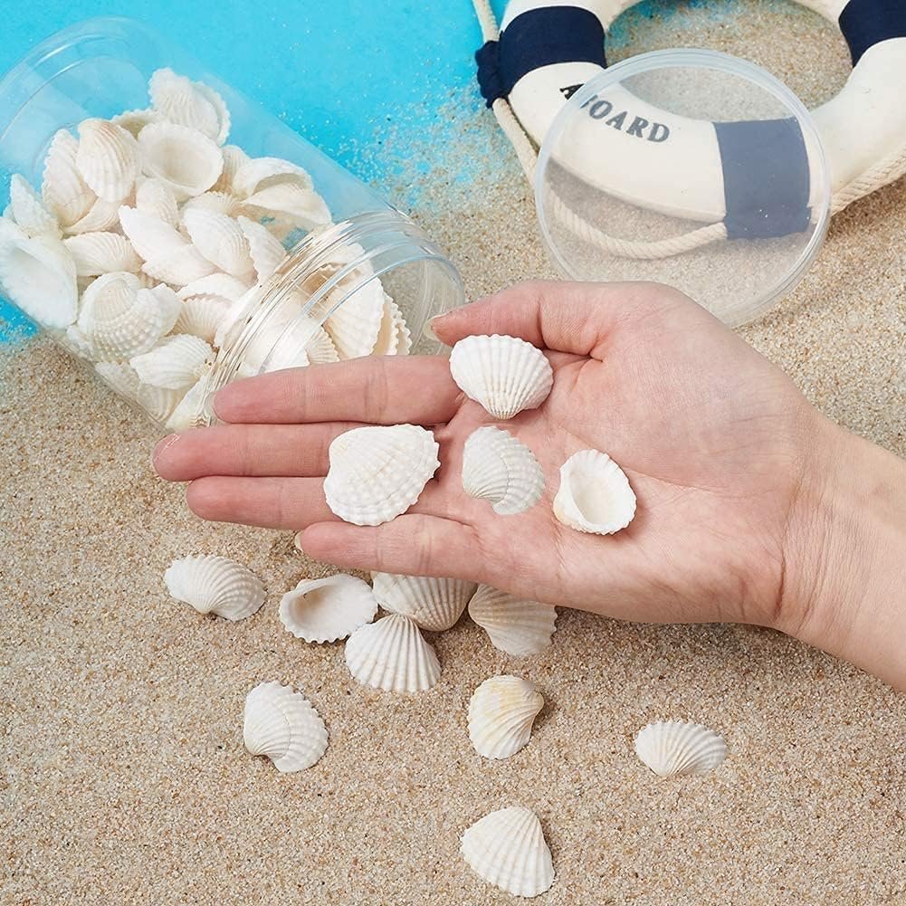 Wekuw Naturalne białe muszle morskie, 280 g, naturalne muszle morskie, małe muszle głębinowe, białe muszle kokosowe, do dekoracji rzemieślniczych DIY