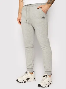 Alpha Industries Spodnie dresowe Basic Jogger 116370 Szary Slim Fit - Spodnie sportowe męskie - miniaturka - grafika 1