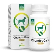 Suplementy i witaminy dla psów - Pokusa FOR HEALTH ChondroLine ChondroCare 120 tabl 54169-uniw - miniaturka - grafika 1