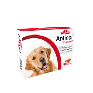 BIOVICO ANTINOL SIZAROL PIES 120 tabletek NA STAWY + Lab-V Olej z Łososia 100% Dla Psa i Kota w Każdym Wieku 100ml Tłoczony Na Zimno GRATIS !!! - Suplementy i witaminy dla psów BIOVICO ANTINOL SIZAROL PIES 120 tabletek NA STAWY + Lab-V Olej z Łososia 100% Dla Psa i Kota w Każdym Wieku 100ml Tłoczony Na Zimno GRATIS !!! - Suplementy i witaminy dla psów - miniaturka - grafika 3