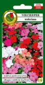 Nasiona i cebule - Niecierpek Waleriana Mieszany 0.2 g PNOS - miniaturka - grafika 1