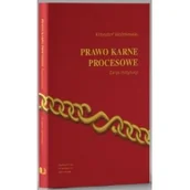 Prawo - Prawo karne procesowe. Zarys instytucji - miniaturka - grafika 1