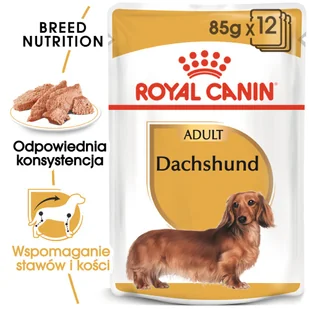 Royal Canin bytówka Dachshund Adult 12x85g 16469-uniw - Mokra karma dla psów - miniaturka - grafika 1