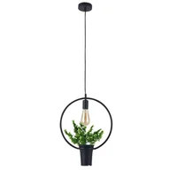 Lampy sufitowe - Polux Lampa wisząca IL MIO SOREN czarna 1*E27 okragla z kwiatkiem 313850 - miniaturka - grafika 1