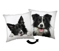 Kołdry i poduszki dla dzieci - Poduszka 40x40 Border Collie biaa czarna - miniaturka - grafika 1