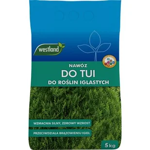 Nawóz do tui 5 kg Westland - Nawozy ogrodnicze - miniaturka - grafika 1