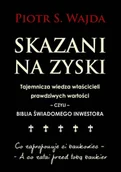 Ekonomia - Skazani Na Zyski Tajemnicza Wiedza Właścicieli Prawdziwych Wartości Czyli Biblia Świadomego Inwestora - miniaturka - grafika 1