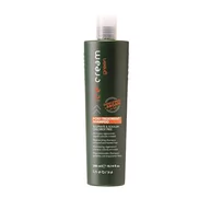 Szampony do włosów - Inebrya Ice cream green post-treatment szampon do włosów osłabionych i zniszczonych zabiegami ph 5.0 300ml - miniaturka - grafika 1