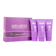 Zestawy kosmetyków damskich - Wellness Wellness Pielęgnacja włosów Mini zestaw SILVER 2x szampon 50ml maska 50ml - miniaturka - grafika 1
