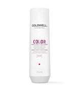 Goldwell Nabłyszczający szampon do włosów farbowanych - Dualsenses Color Brilliance Shampoo Nabłyszczaj