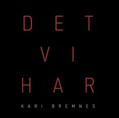 Poezja śpiewana - Strange Ways Records Det Vi Har - miniaturka - grafika 1