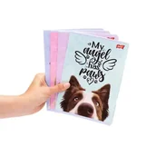 Zeszyty szkolne - St. Majewski Zeszyt A4 linia podwójna dwukolorowa, 70 g/m2 32 kartki - miniaturka - grafika 1