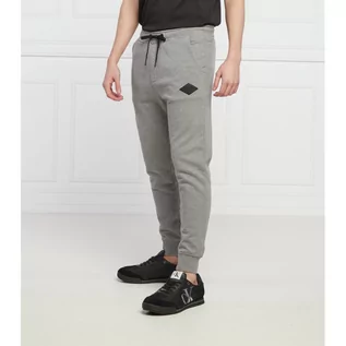 Spodnie męskie - Replay Spodnie dresowe | Regular Fit - grafika 1