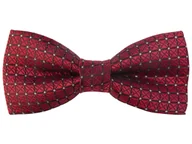Krawaty i muchy męskie - Bordowa mucha w kratkę C21 - miniaturka - grafika 1