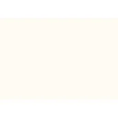 Płytki ceramiczne - Dekor ścienny Amazonia white 25 x 36 Gat.1 - miniaturka - grafika 1