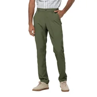 Spodnie sportowe męskie - Spodnie męskie DESERT VALLEY PANTS MEN greenwood - 52 - miniaturka - grafika 1