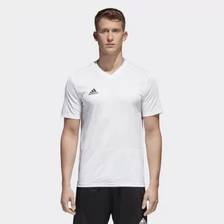 Koszulki męskie - Adidas Spodnie męskie, CON 18 TR PNT BS0526, rozmiar XL - grafika 1
