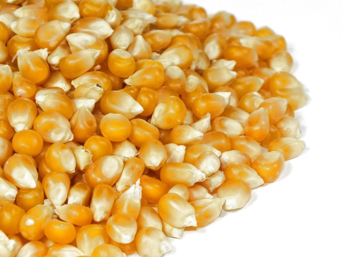 Popcorn 1 kg kukurydza do prażenia DUŻA PAKA