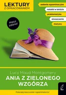 Lektury szkoła podstawowa - Ania z Zielonego Wzgórza. Masz zdane! - miniaturka - grafika 1