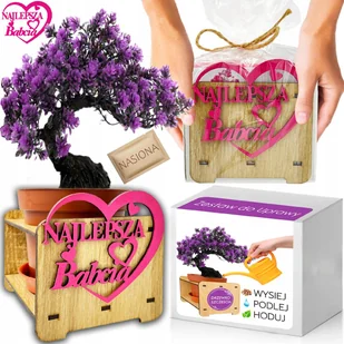 Prezent na DZIEŃ BABCI Drzewko Szczęścia Paulownia Cesarska Bonsai ZESTAW - Nasiona i cebule - miniaturka - grafika 1