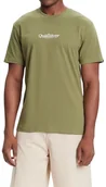 Koszulki męskie - t-shirt QUIKSILVER FINELINE GNG0/LODEN GREEN - miniaturka - grafika 1