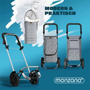 Torby i wózki na zakupy - Wózek na zakupy Szary Aluminium 31x24x54cm 56L - miniaturka - grafika 1