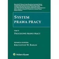 Prawo - System Prawa Pracy Tom VI Procesowe prawo pracy - dostępny od ręki, wysyłka od 2,99 - miniaturka - grafika 1