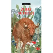 Przewodniki - KARAMBA NIEMAPA Żubry w Polsce praca zbiorowa - miniaturka - grafika 1