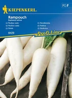Nasiona i cebule - Rzodkiewka Rampouch – Kiepenkerl - miniaturka - grafika 1