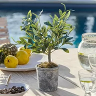 Sztuczne kwiaty - Dekoracyjna roślina doniczkowa Mariuccia - miniaturka - grafika 1